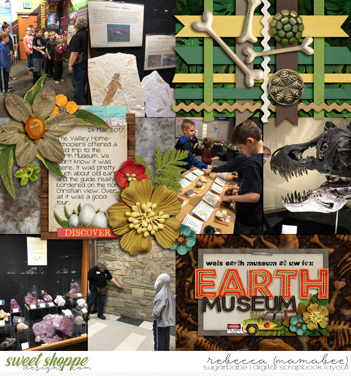 Earth Museum