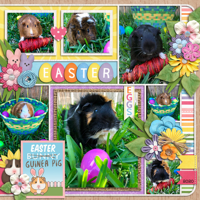 Easter guinea pigs, right