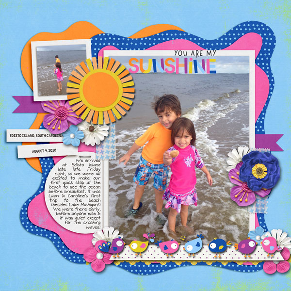 Edisto Island- Jan Passport #9