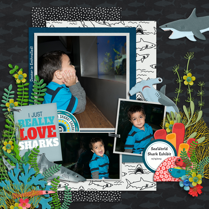 EEK A Shark from Clever Monkey Graphics