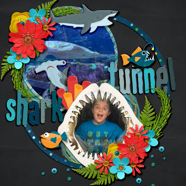 Eek A Shark