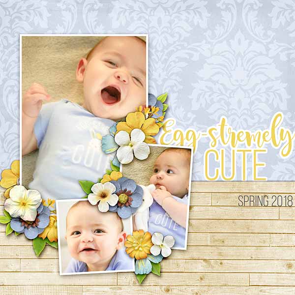 Eggstremely Cute