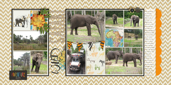 Elephant Safari