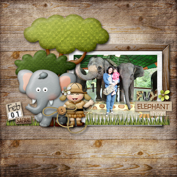 elephant show