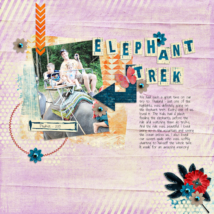 elephant trek