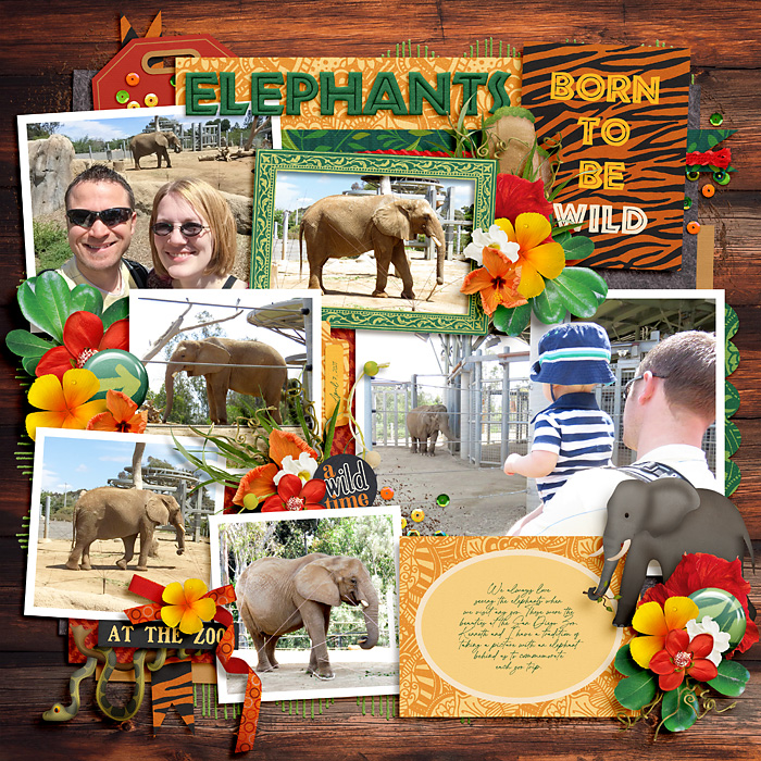 Elephants