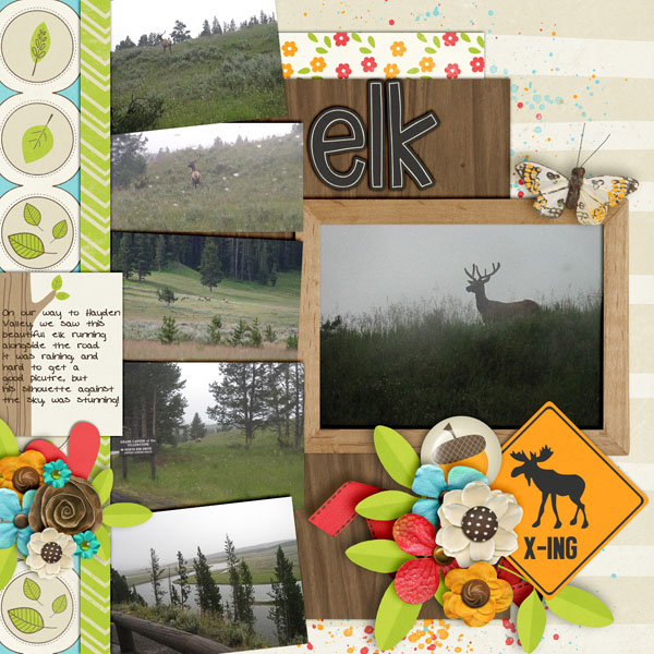 Elk X-ing