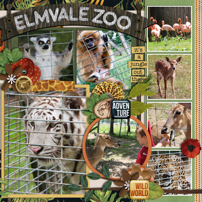 Elmvale Zoo