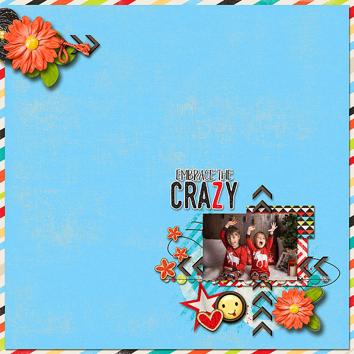 Embrace The Crazy