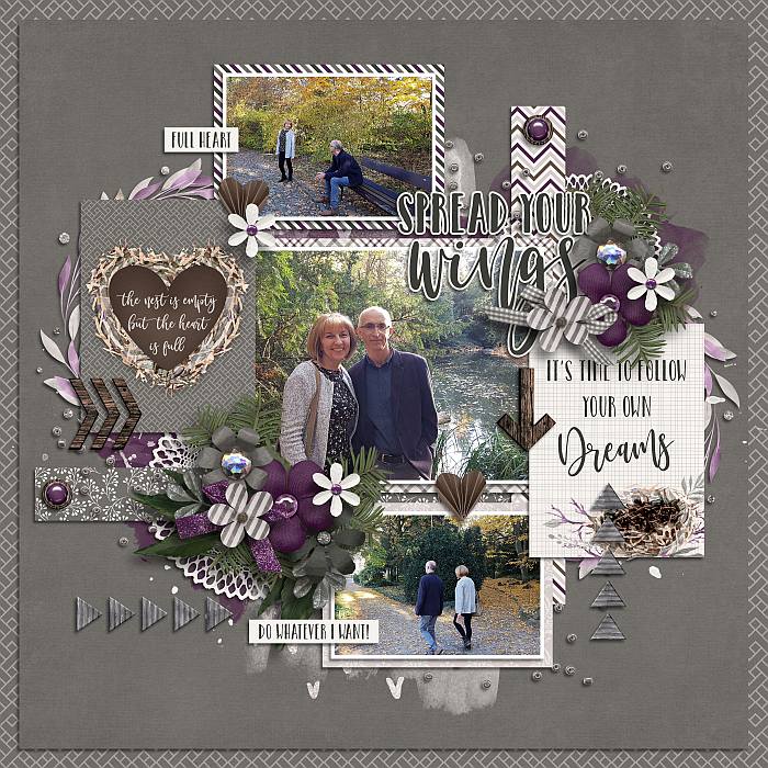 Empty nest