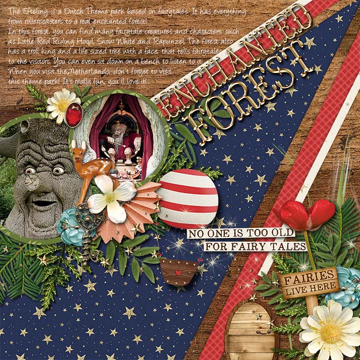 Enchanted Forest
