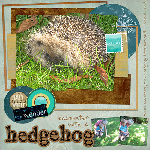 Encounter with a Hedgehog