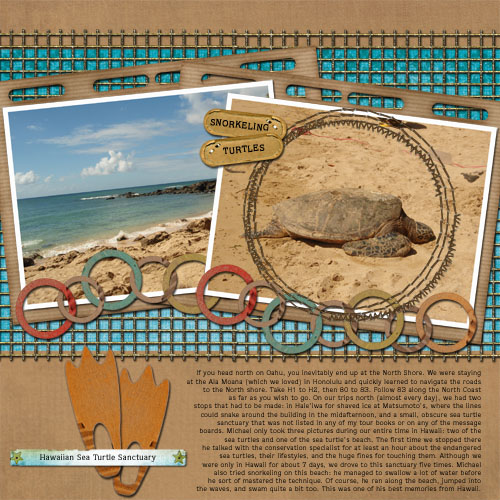 Endangered Sea Turtles