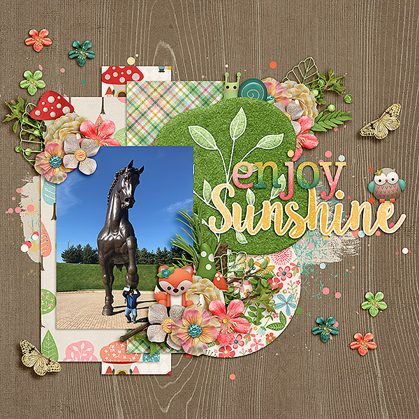 Enjoy Sunshine