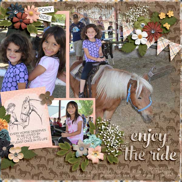 Enjoy the Ride