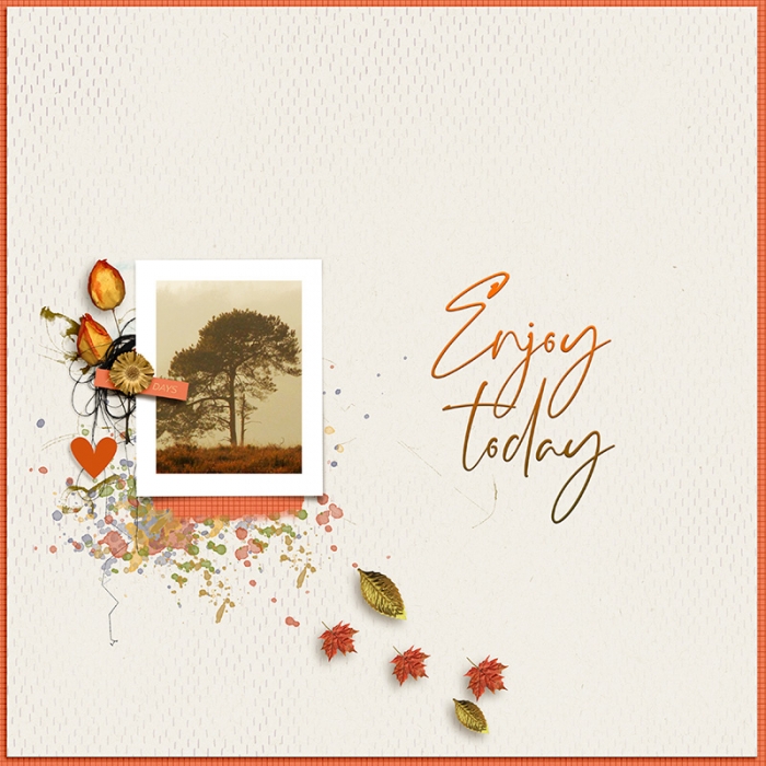 Enjoy Today