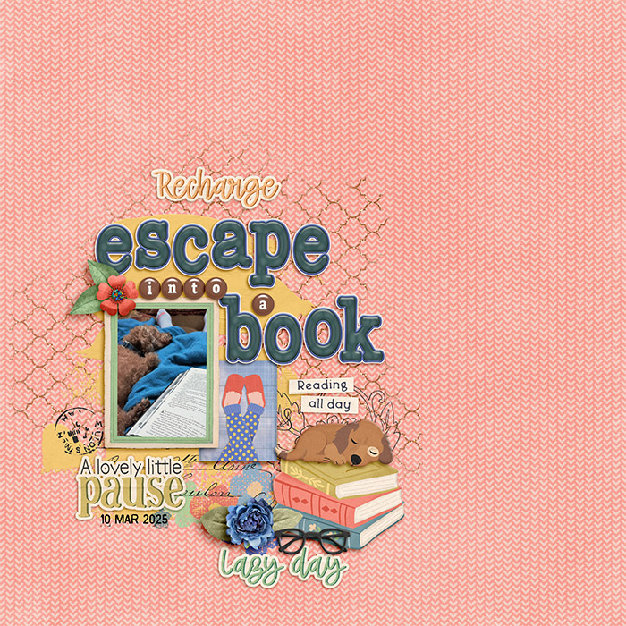 Escape Into a Book