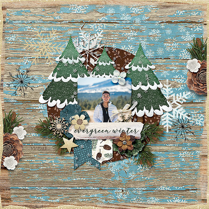 Evergreen Winter