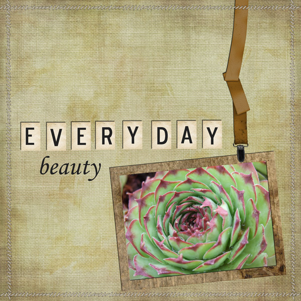 Everyday Beauty