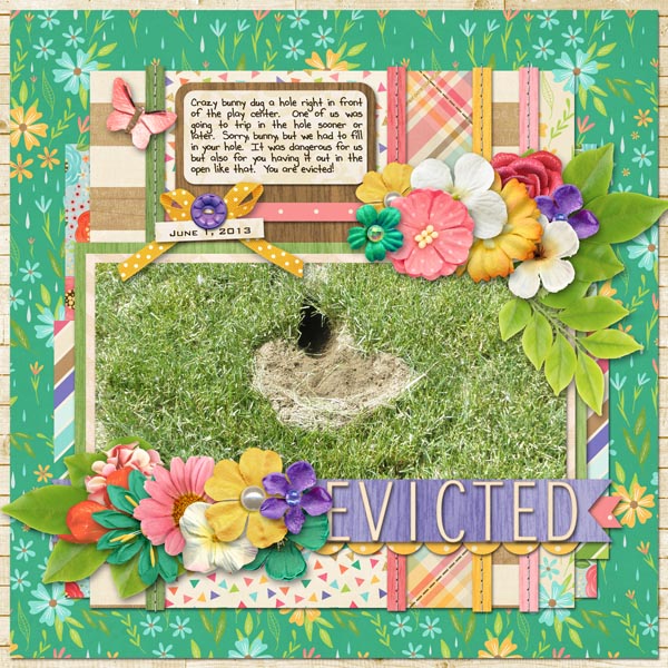 Evicted