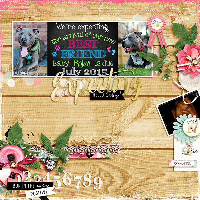Expecting: Hello Baby!!