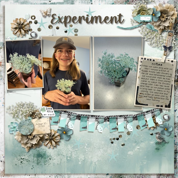 Experiment