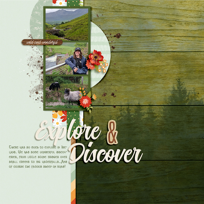 Explore & Discover