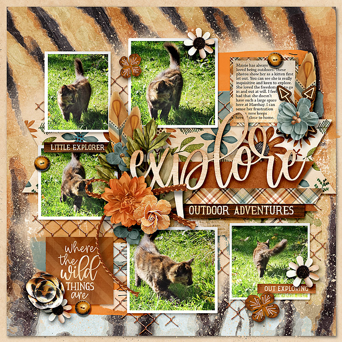 Explore - Outdoor Adventures