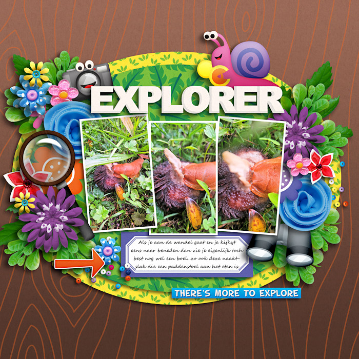 Explorer