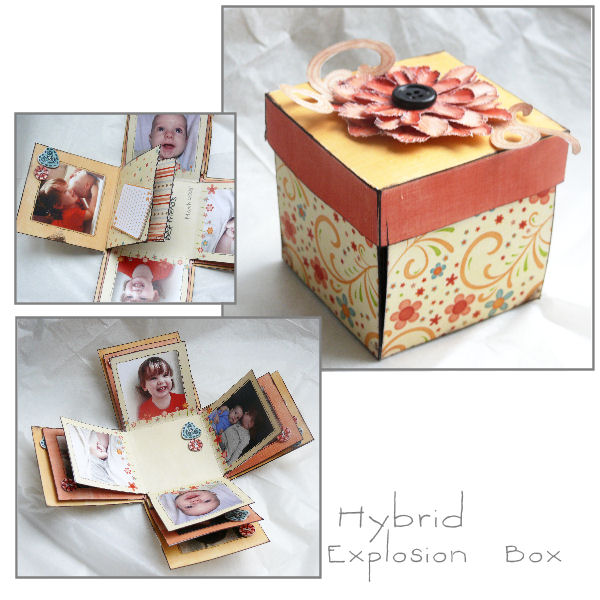 Explosion Box
