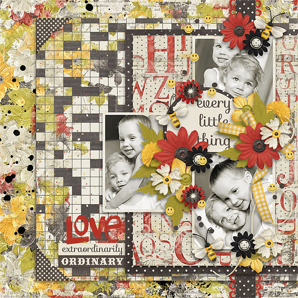 Extraordinarily Ordinary