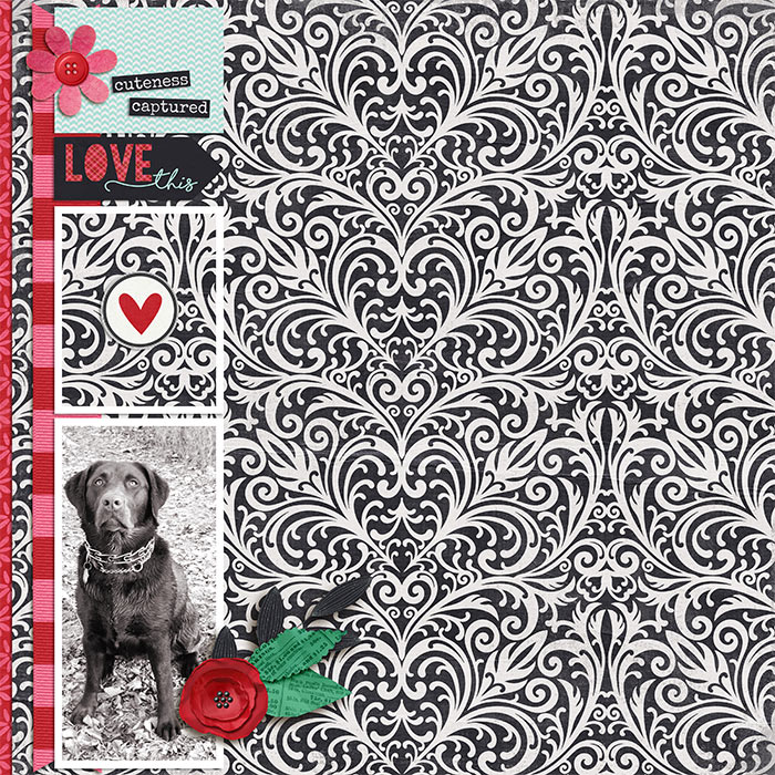 Faithful Companion