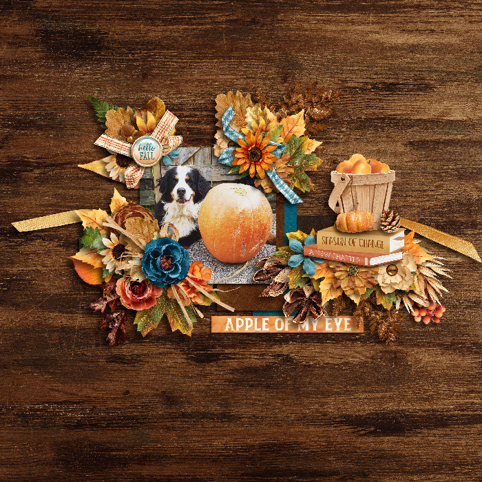 Fall Favorites