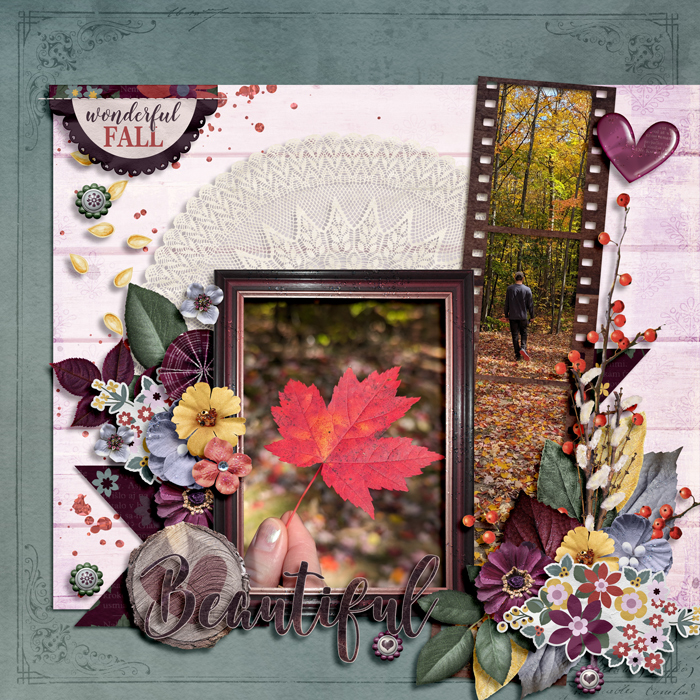 Fall foliage