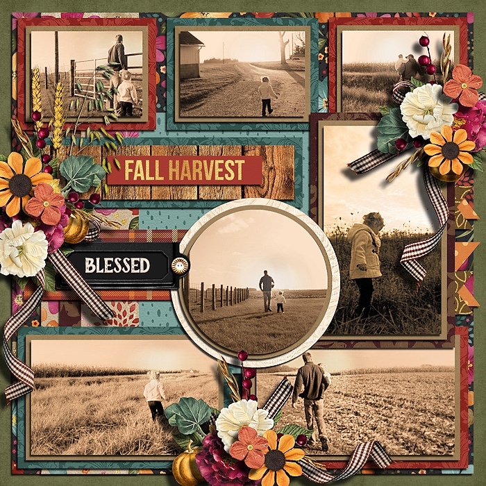 Fall Harvest