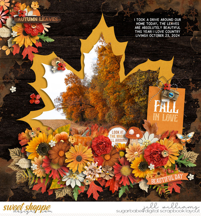 Fall in the Country