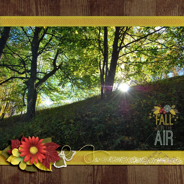 Fall is in the air