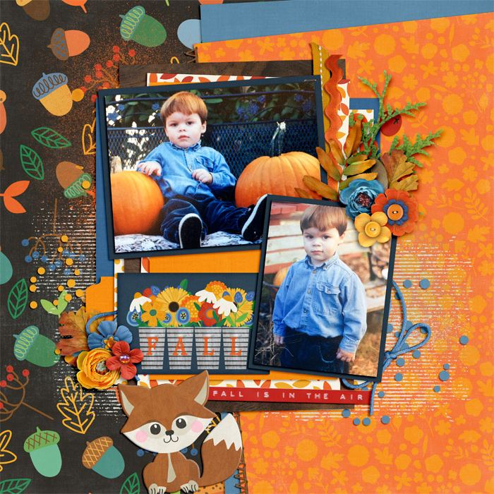 Fall Is In the Air