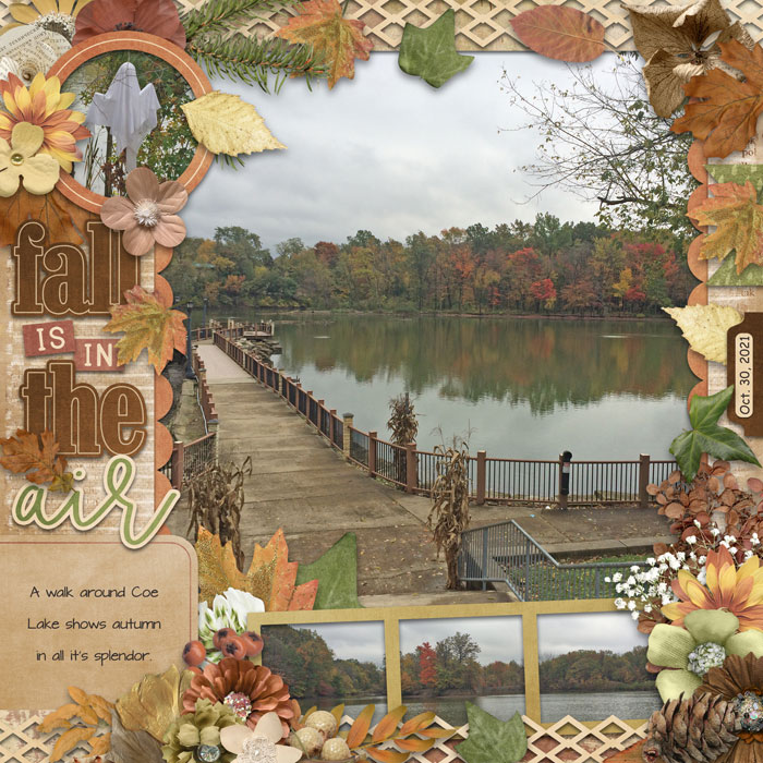 Fall Is In The Air