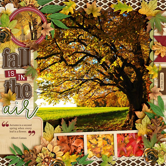 Fall is in the Air