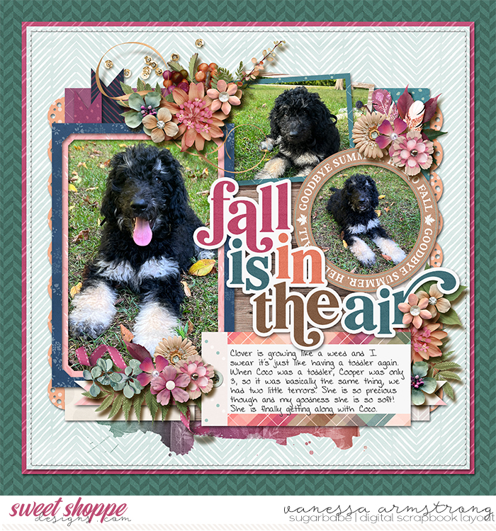 Fall is in the Air