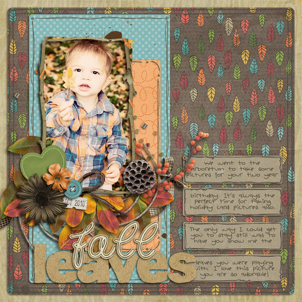 Fall Leaves