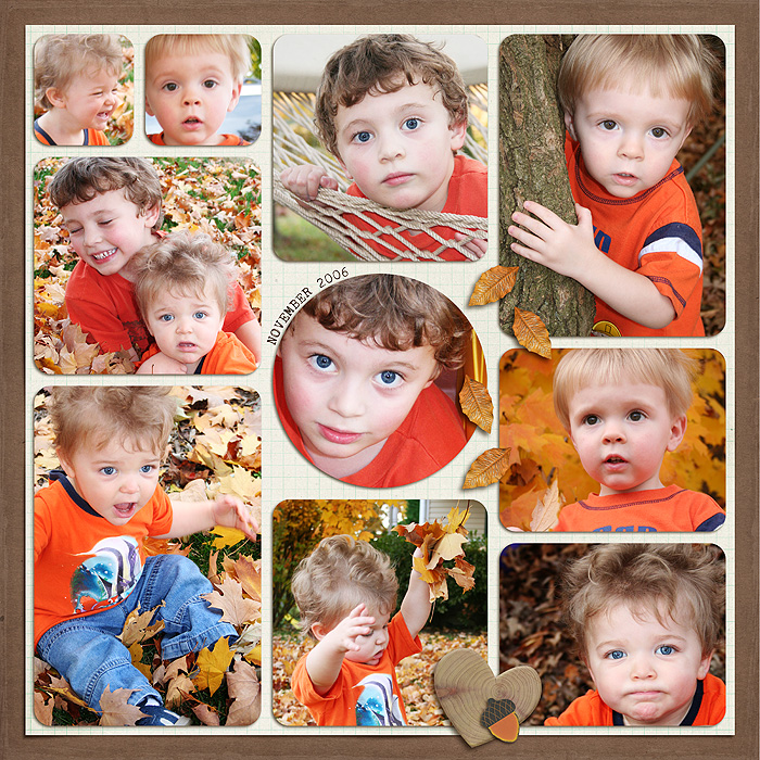 fall leaves