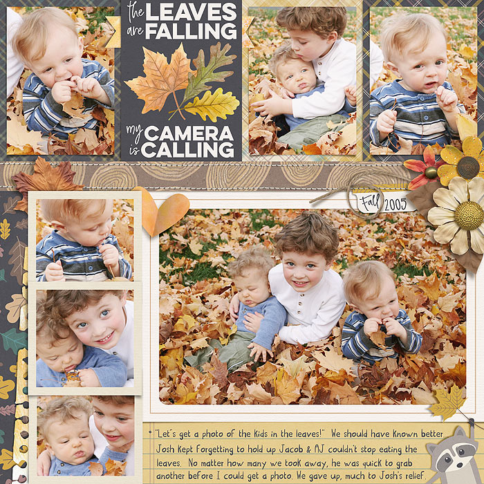 fall leaves
