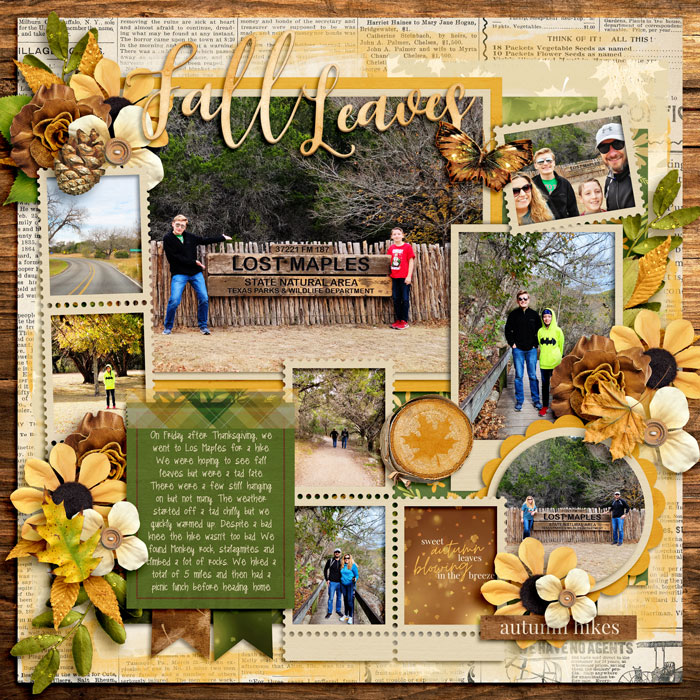 Fall Leaves