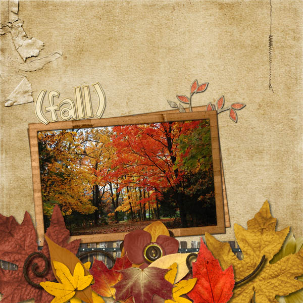 Fall leaves