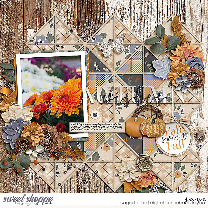 Fall Mums
