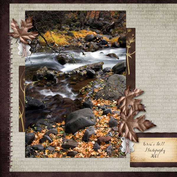 Fall Photography