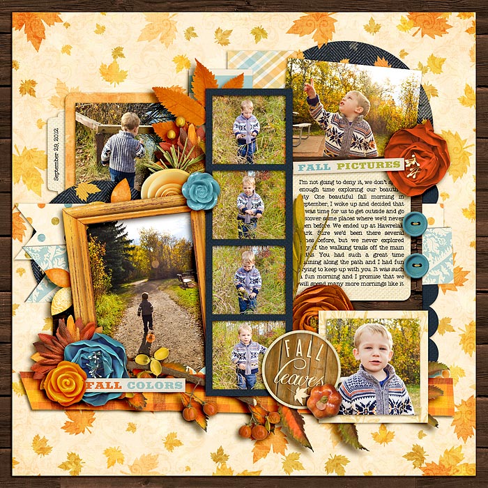 fall pictures 2012