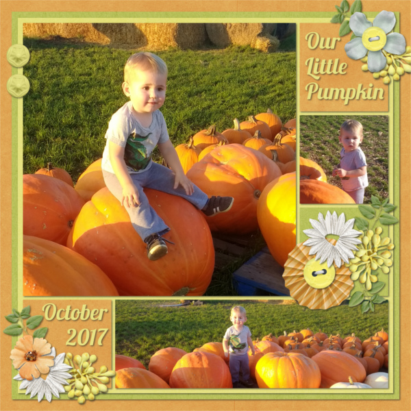 Fall Pumpkins